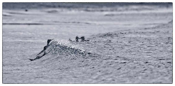 DSC_4805_Edit_Edit