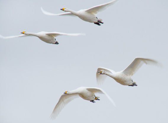 DSC_7500-Edit