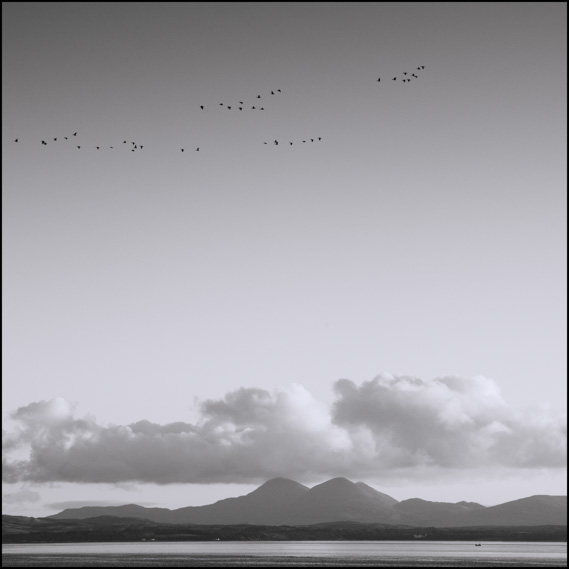 DSC_7004-Edit