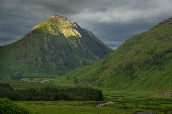 DSC_6597