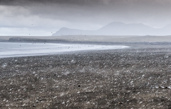 P2670195-Edit-2
