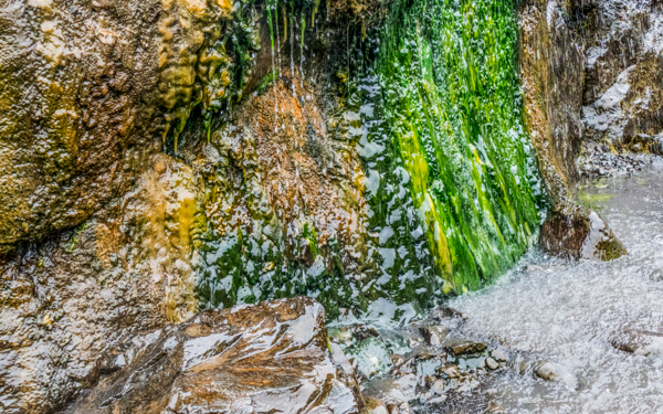 P2670807-Edit